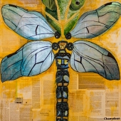 Huckfeldt  (1) Img #2  Chamaeleonidae Anisoptera