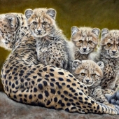 A Mother's Protection