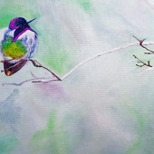 Jabeen (1) Img 1 The Wait