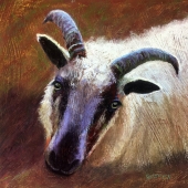 Kossow (1) Img #4  Hope