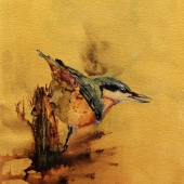 Krutsinger (2) Img #1  On The Bug Beat