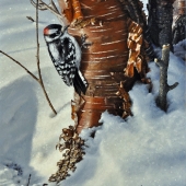 LaSaga (1) Img #1  Just Chillin'