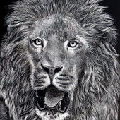 Lee-D (2) Img #1  Jabar