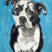 Martin (1) Img #2  Doug