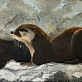 McClelland Lewin (1) Img #1  You Otter be in Pictures