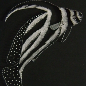 Mercera (1) Img #2  Spotted Drum Fish