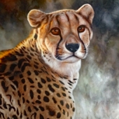 Pugh (1) Img #3  Dashing Protector