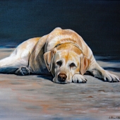 Ritchie (1) Img #1  Sally the Australian Army Explosive Detection Dog