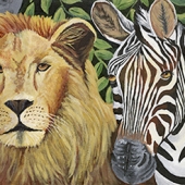 Schmauder (1) Img #3 Safari