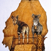 Seth (1) Img #1  For Daily Uses