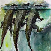 Stecker  (1) Img #5  Three Amigos