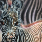 Welk (1) Img #1 Fuzzy Wuzzy