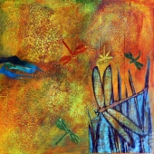 White-M (1) Img #2  Dragonfly VIII