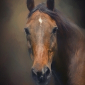 Darlington (1) Img #3  Goodbye Old Mate