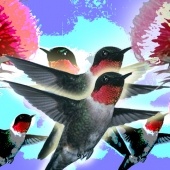 Keim (1) Img #3  The Mighty Warriors