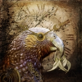 Lapsley Miller (1) Img #3  Its About Time (kākā)