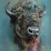 Russell (1) Img #3  American Bison