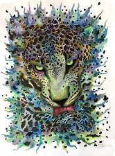 G - 7th Place - OA - Yaziji (1) Img #5  Promissing