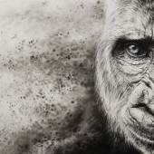 4th Place – Overall - Ami Schütz – “Sand in the Wind” - www.amis-art.jimdo.com