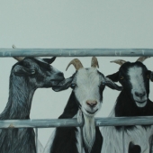 Kathleen Smith - “Always One” – www.facebook.com/KathiLecasSmith