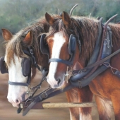 Marlene Millard - “The Partners - Happy & Cameo” – www.marlsart.com