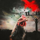 Junsung Back - “Oman-cock” –  www.wcback.com