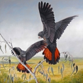 Paula Wiegmink - “Shake Your Tail Feathers” – www.paulawiegmink.com.au