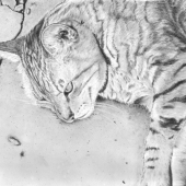 Karen Kaffenberger - “Just Chillin' ” – www.threetrailsartstudio.com