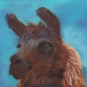 Carol Corliss - “Dolly” – www.carolcorlissfineart.com