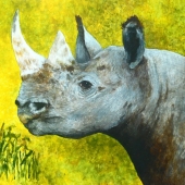 Kristi Richter - “Disparate Peaks” –  keddywumpus@yahoo.com