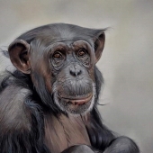 Clare Parkes - “Contemplation” – clareparkesportraits@gmail.com