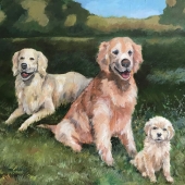 Mary Sue Veerkamp-Schwab - “Goldens in the Park” – www.marysueschwab.com