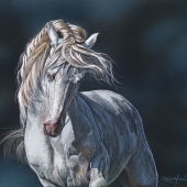 Lynette Orzlowski - “Storm Chaser” – www.orzlowski.com.au