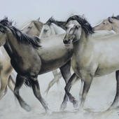 Telagio Baptista - “On the Run” – www.telagiobap.com