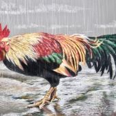 Meng-Lung Hsieh – “Raining Day” - hml0918@gmail.com