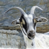 Chantal Marcotte – “Elysabeth” – www.facebook.com/ArtByChantalMarcotte