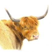 Chantal Marcotte – “Clin d'oeil d'une belle rousse” – www.facebook.com/ArtByChantalMarcotte