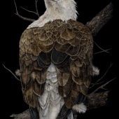 George Ann Johnson – “Overlooking II” - www.gajart.com