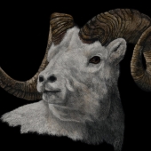 George Ann Johnson – “Mountain Gold” - www.gajart.com