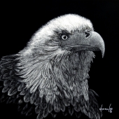 Donna Lee – “Eagle” - donnaylee@centurytel.net