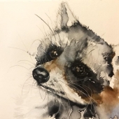 Chloe Cassidy – “Rocky Raccoon” - chloecassidy@hotmail.com