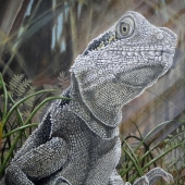 Fiona Groom - “I’m the King of the Castle” – www.fmgfionagroomvisualartist.com