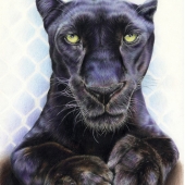 Ami Schütz – “Observation” - www.amis-art.jimdo.com