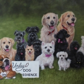 Elise Leslie-Allen - “On Unley Green” – www.gallery247.com.au