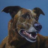 Ian Mackenzie - “Ringo” –  www.ianmackenzieart.co.uk