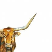 Remy Campbell - “Heifer 0910” – www.cypresscrown.com