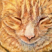 Anne Gratton - “Purr” – amgpaints@gmail.com