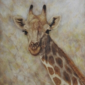 Caryn Coville - “Standing Tall” –  www.caryncoville.com