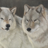 Marie-Claude Courteau - “Love” – www.wix.com/mccourteau