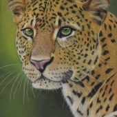 Avery Anderson - “Jungle Queen” – www.averyandersonanimalart.com